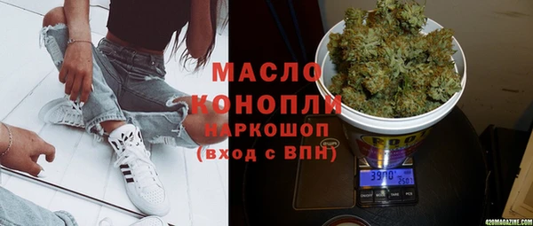 прущий лед Новозыбков