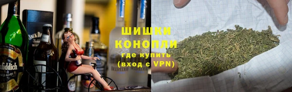 прущий лед Новозыбков