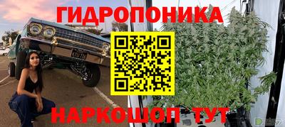 гидра Беслан