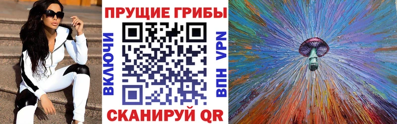 Псилоцибиновые грибы Psilocybine cubensis  Истра 