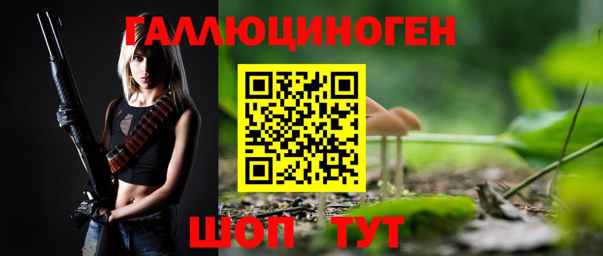 Псилоцибиновые грибы MAGIC MUSHROOMS  Псилоцибиновые грибы мухоморы  Истра 