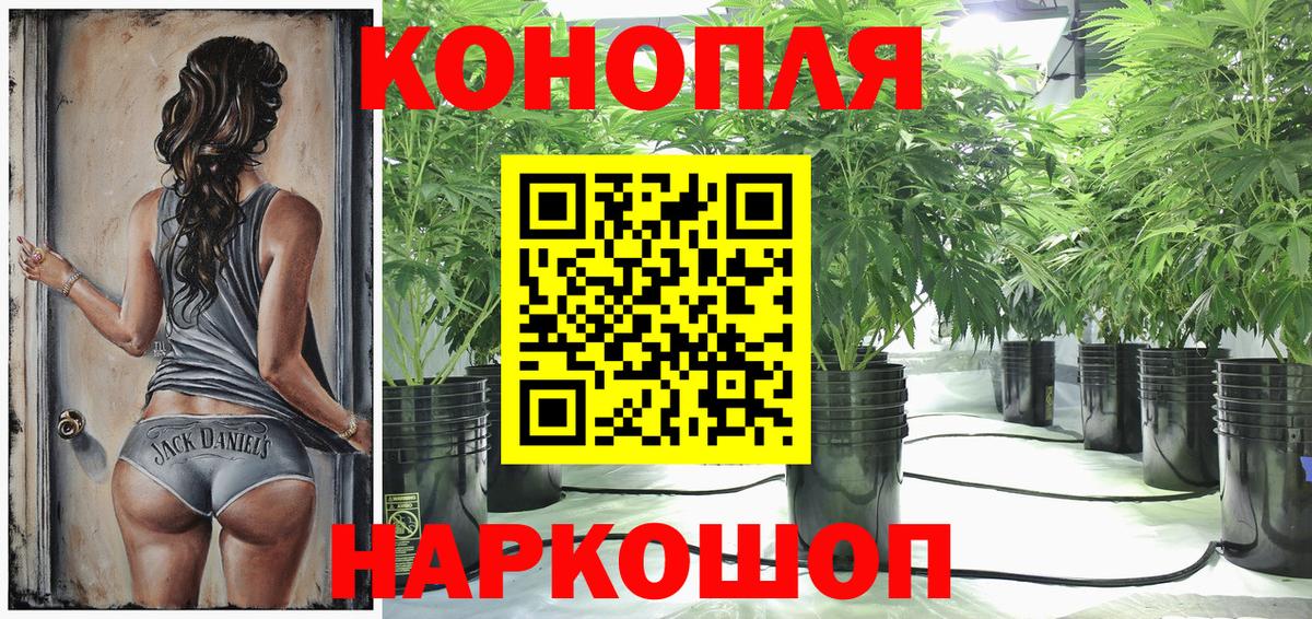Канабис AK-47  Вход с VPN  Истра  Бошки Шишки THC 21%  Шишки марихуана Ganja 